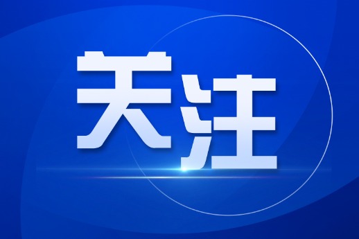 全民2025年新澳门天天免费精准大全,详细解答、解释与落实